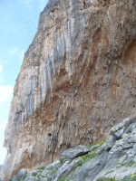 SNV80242.JPG